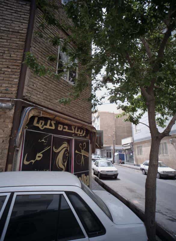 عکس زیباکده گلها در مسعودیه