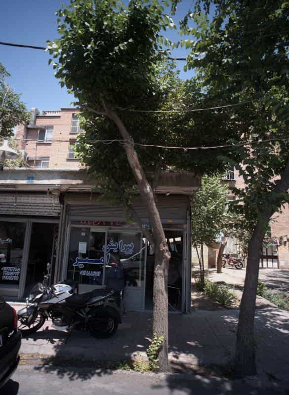 عکس پیرایش امیر در کیانشهر شمالی
