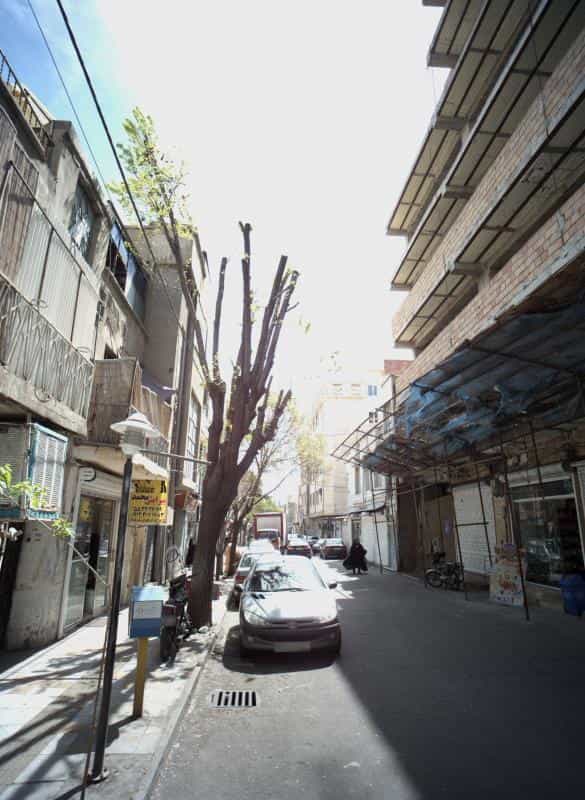 عکس پیرایش محمد در خزانه