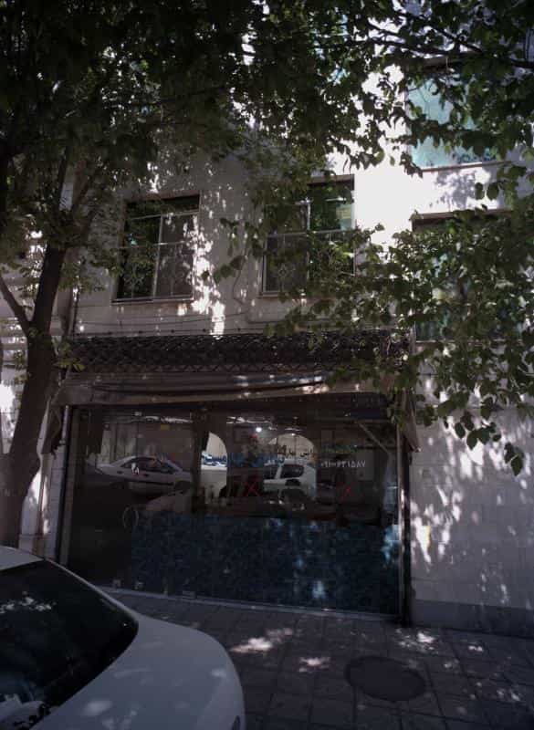 عکس پیرایش بهارمست در کیانشهر جنوبی