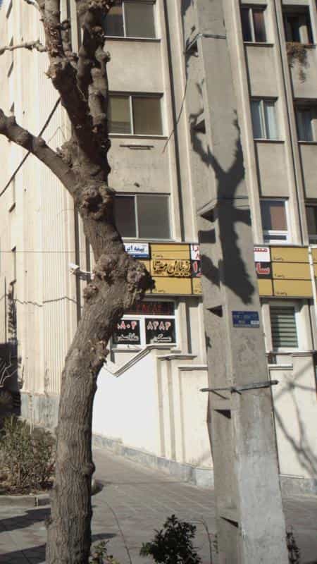 عکس زیبایی مه تا در ونک