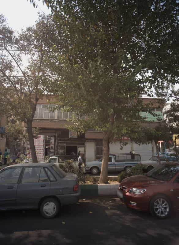 عکس تراشکاری در باغ آذری