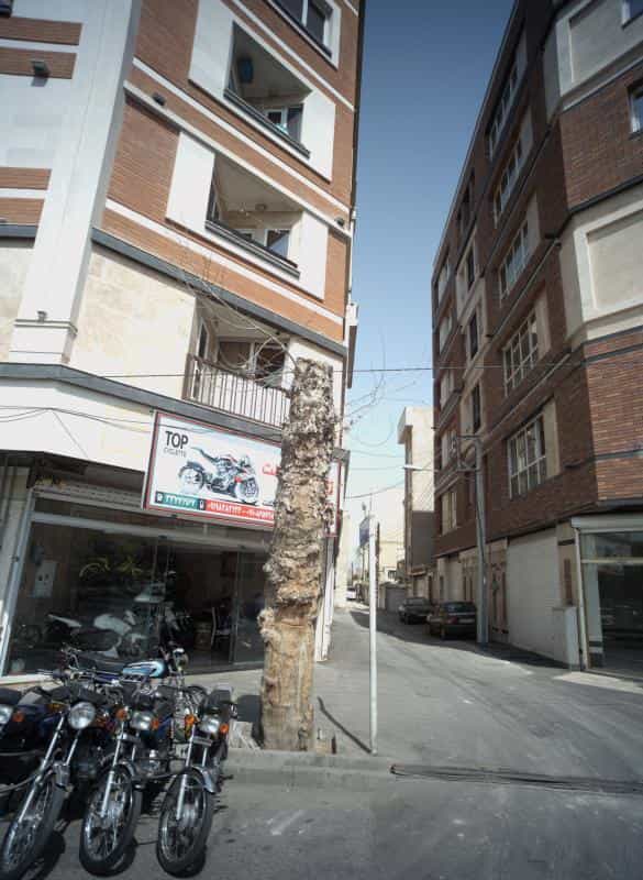 عکس تاپ سیکلت در صفائیه