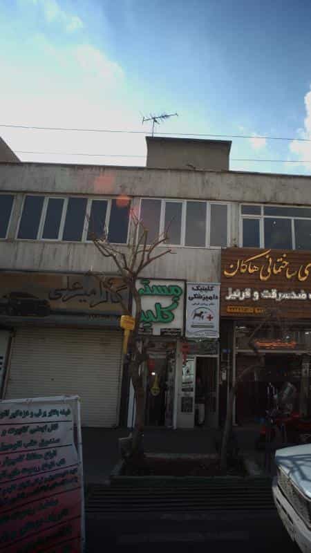 عکس گالری امیر علی در پیروزی