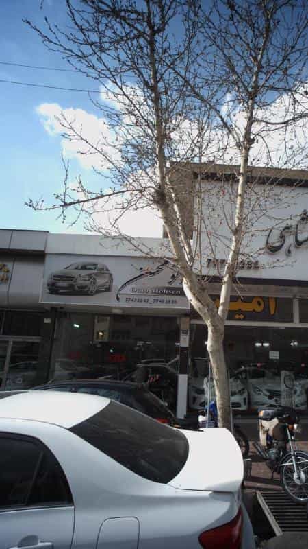 عکس اتو محسن در نیرو هوایی