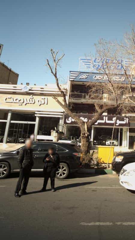 عکس اتو شریعت در نیلوفر