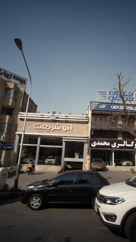 عکس اتو شریعت در نیلوفر