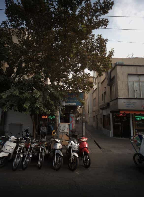 عکس موتورسیکلت کلاسیک در شکوفه