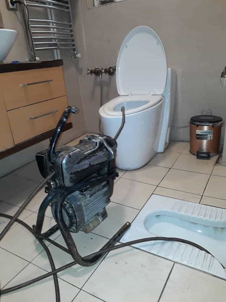 عکس لوله بازکنی شکوفه