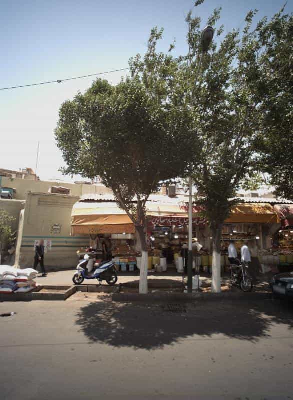 عکس پخش عمده آجیل و خشکبار سَها نوین در مولوی