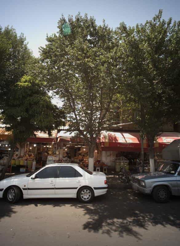 عکس خشکبار نورانی در مولوی