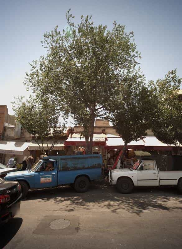 عکس فروشگاه خوشکپاک در مولوی