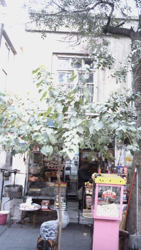 عکس خشکبار در گمرک