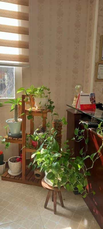 عکس مطب دندانپزشکی دکتر دبستانی در هفت حوض