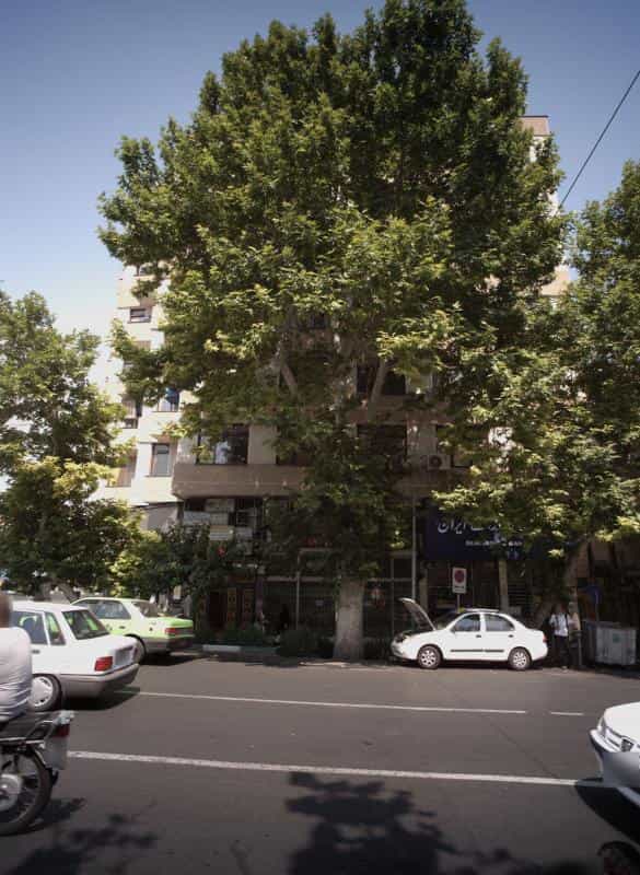 عکس کلینیک زیبایی در نصرت