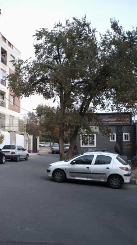 عکس بهنام مختاری در اندیشه