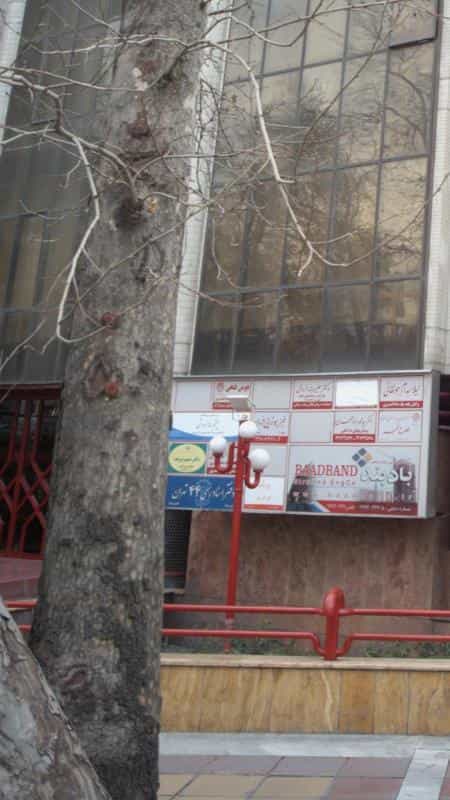 عکس وکیل پایه یک دادگستری هومن فتحی در باغ فردوس