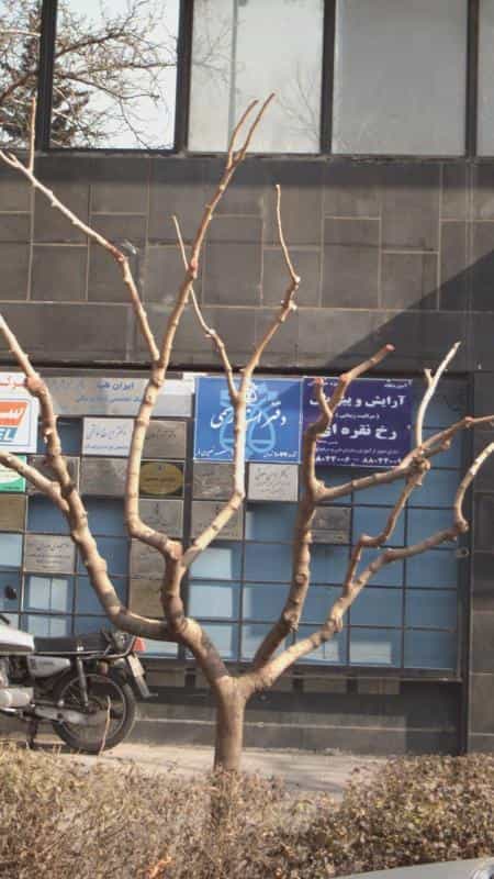 عکس دفتر اسناد رسمی در ونک