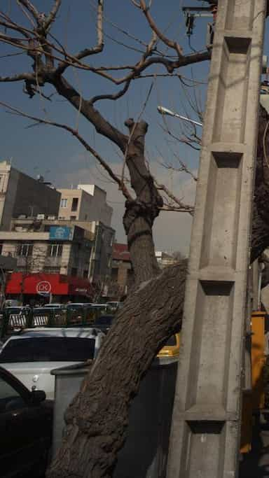 دفتر اسناد رسمی۳۵۸ تهران در حافظیه