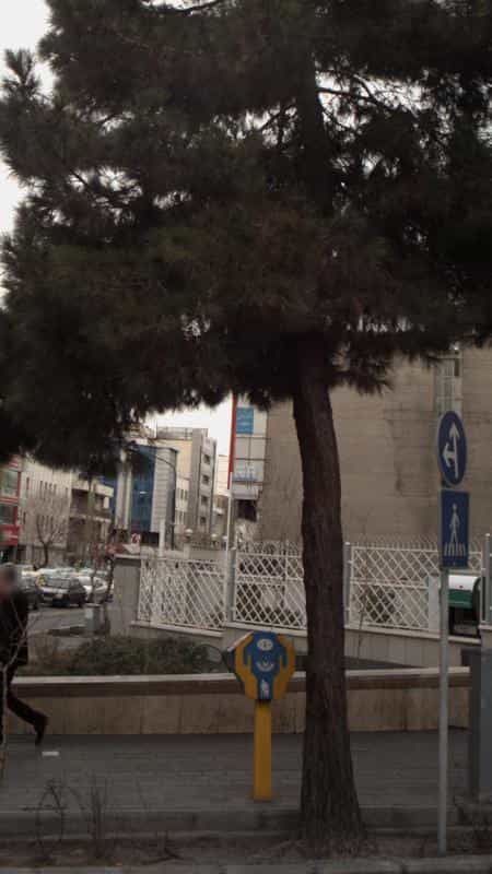 عکس دفتر اسناد رسمی در سنایی