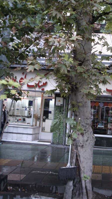 عکس عینک نوین در انقلاب