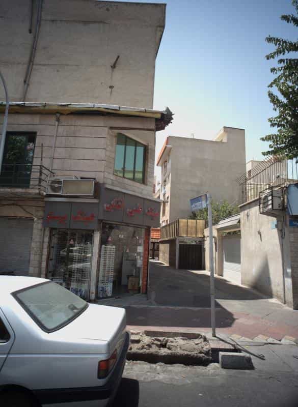 عکس عینک پرستو در شکوفه