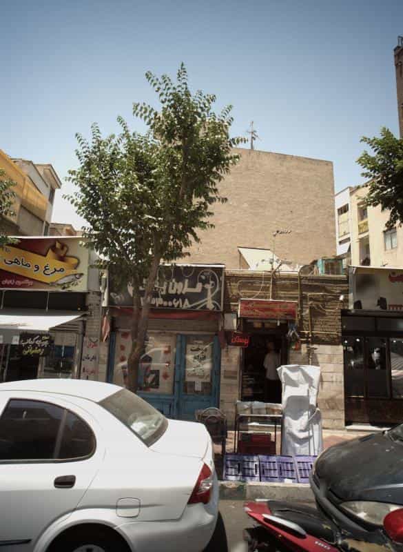 عکس مزون یگانه در شکوفه