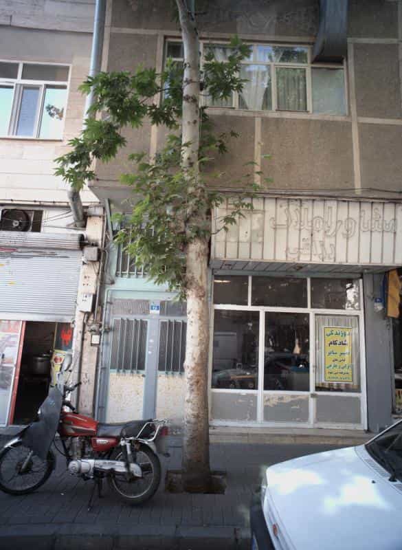 عکس دوزندگی شادکام در شمشیری