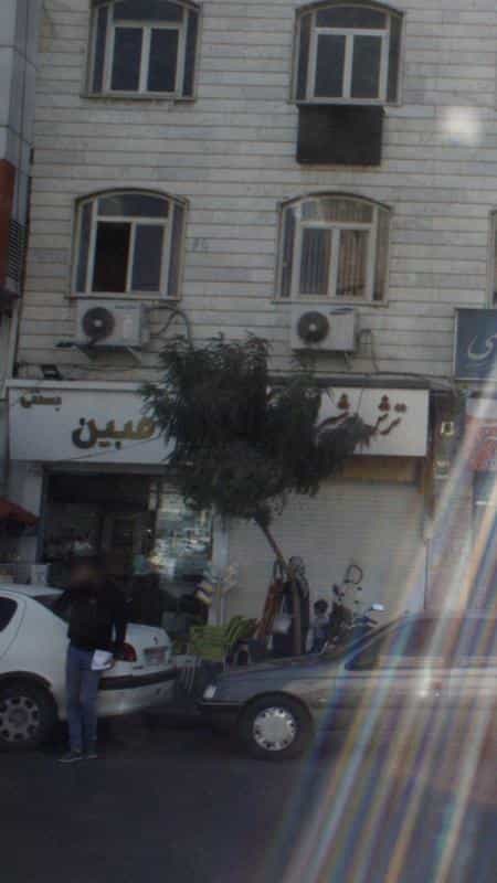 عکس بستنی مبین در جوادیه