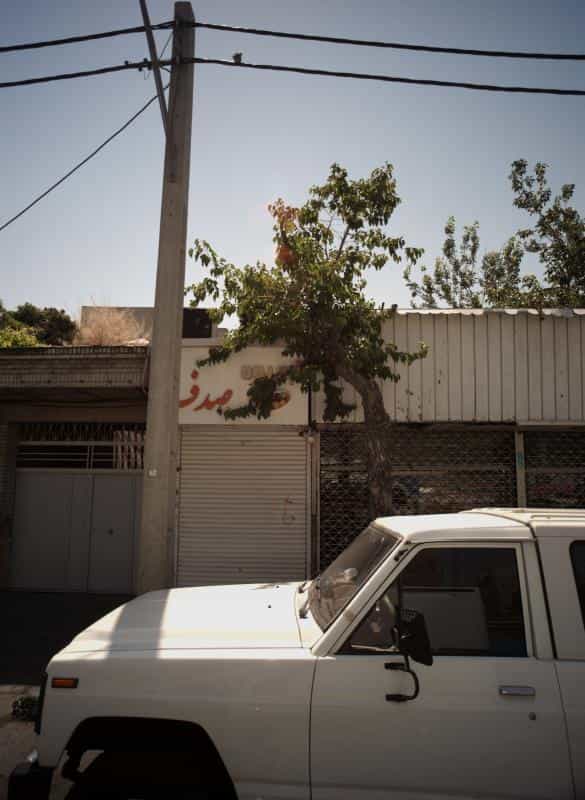 عکس آبمیوه صدف در خواجه نصیر طوسی