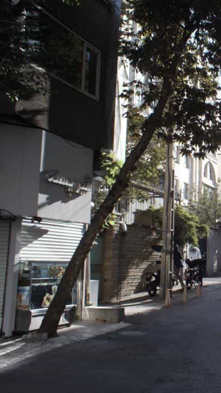 عکس شیرپسته در پاسداران