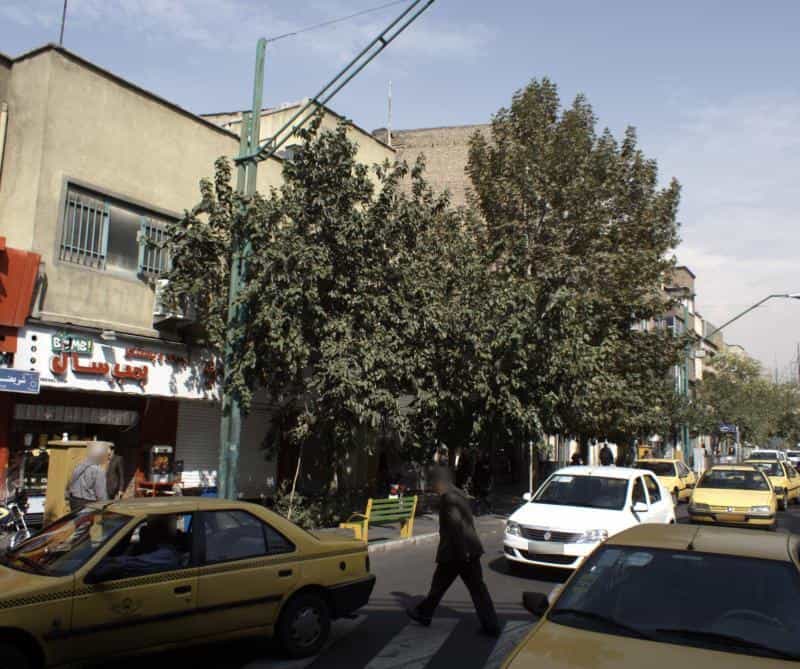 عکس آبمیوه و بستنی بمب سال در بهار