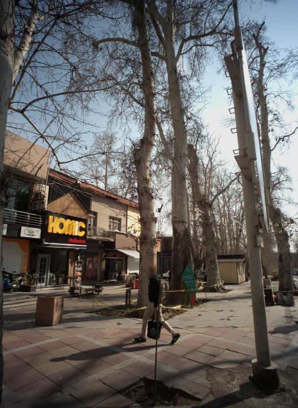عکس آبمیوه طبیعی در باغ فردوس