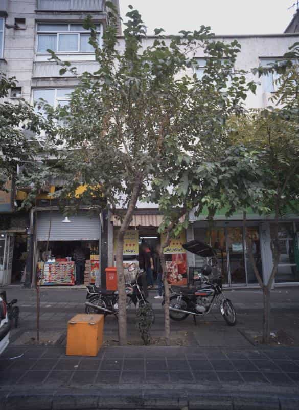 عکس آبمیوه فروشی در شیخ هادی