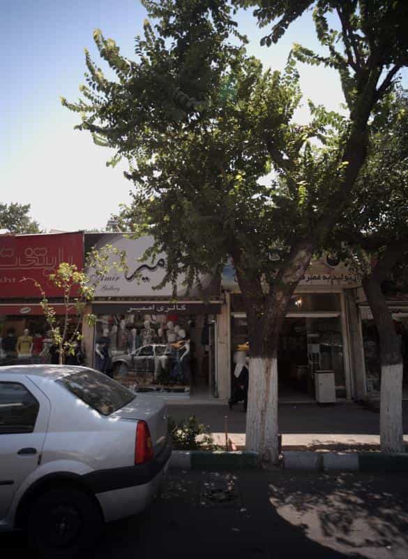 عکس گالری امیر در طیب