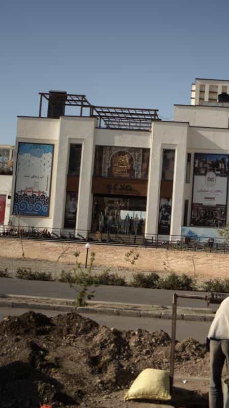 عکس مانگو در دریاچه شهدای خلیج فارس