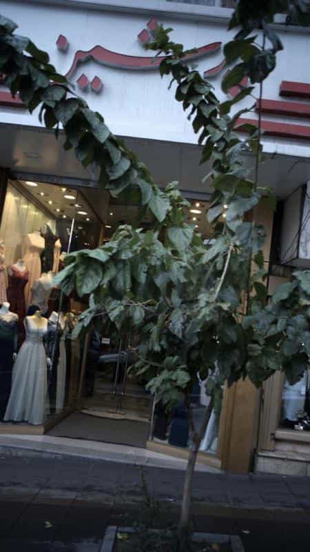 عکس بوتیک پرشین در سهروردی