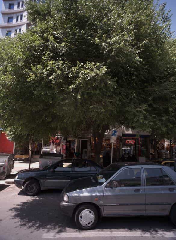 عکس سالن زیبایی بانوان در محله دانش مشهد 