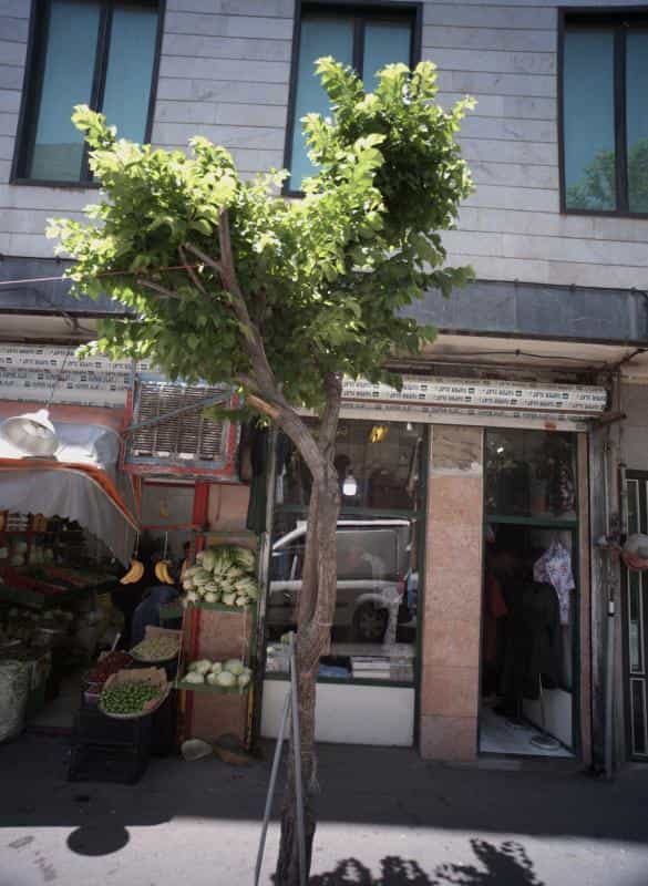 عکس فروشگاه پوشاک در کرمان