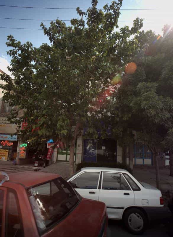 عکس زیبایی عروس شب در کوی امیرالمومنین مشهد 