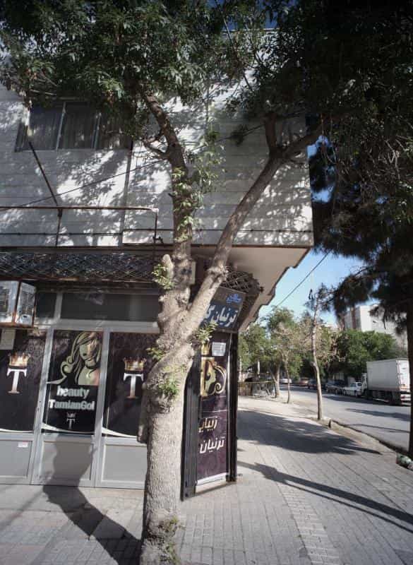 عکس سالن زیبایی ترنیان گل در محله مقدم مشهد 