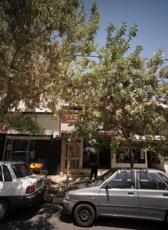 عکس پیرایش اسدی در محله گوهرشاد مشهد 