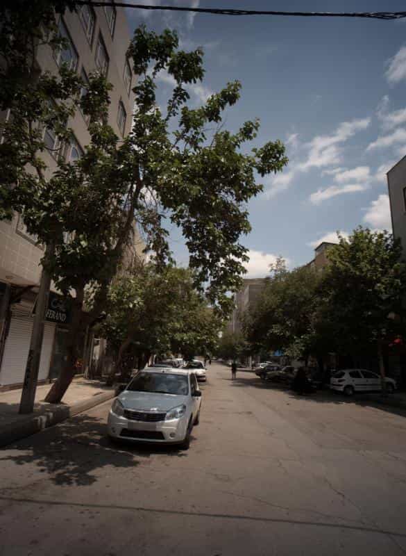 عکس پیرایش فرند در محله جانباز مشهد 