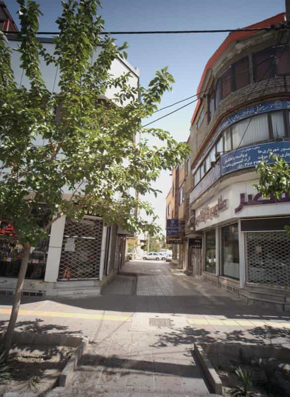 عکس زیبایی شاونی در محله ولیعصر مشهد 