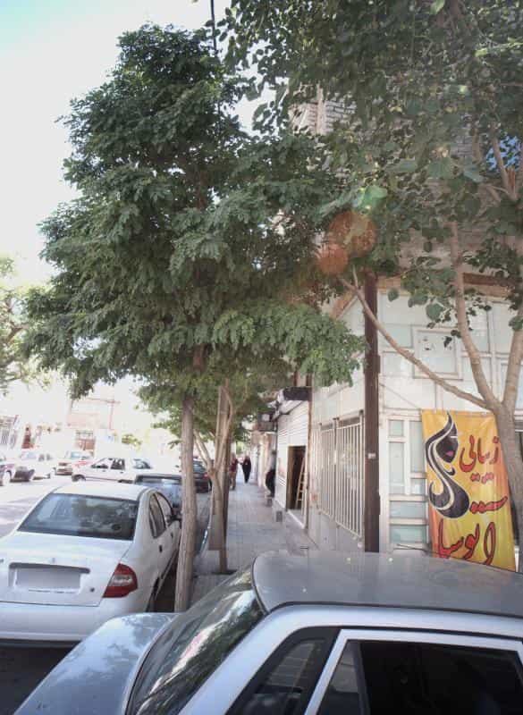 عکس زیبایی آتوسا در کوی امیرالمومنین مشهد 