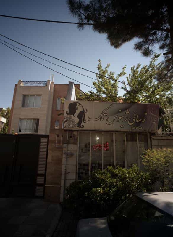 عکس زیبایی ژینوس تک در محله آب و برق مشهد 