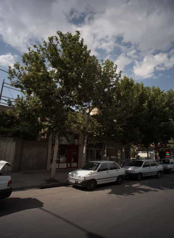 عکس پیرایش حمید در محله فدک مشهد 