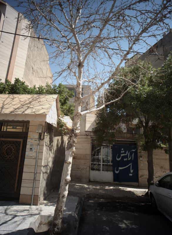 عکس آرایش یاس در محله سعد آباد مشهد 