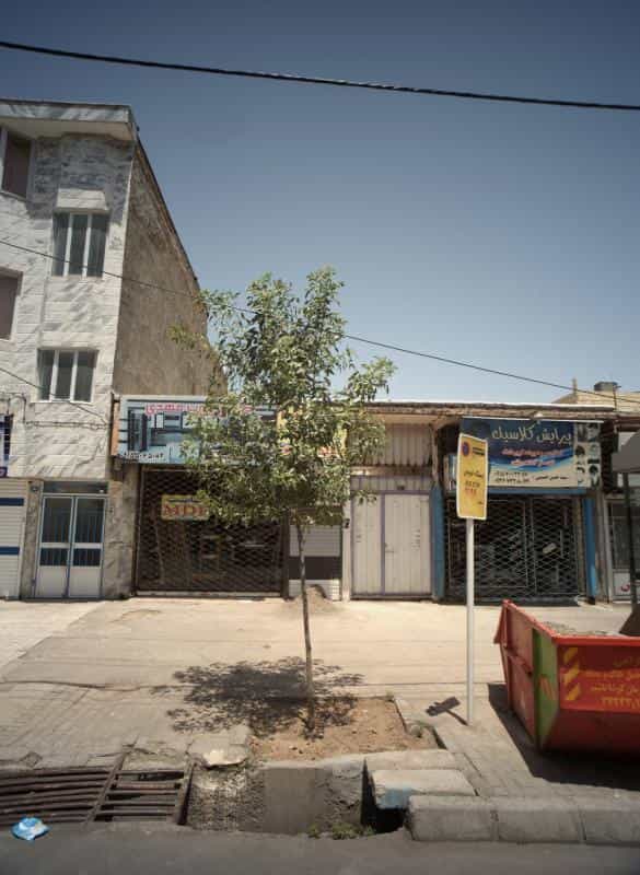 عکس پیرایش کلاسیک در کوی المهدی مشهد 