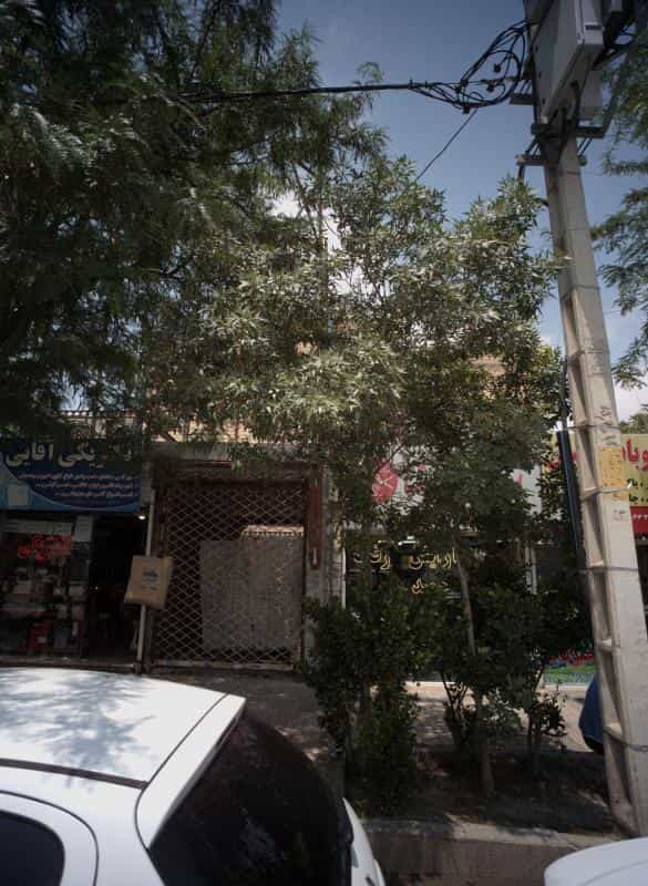 عکس آرایش رضا در محله آب و برق مشهد 